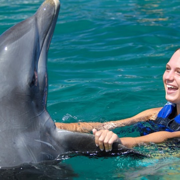 Pływanie z delfinami