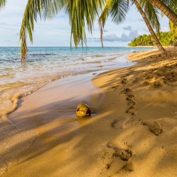 Jazda konna po dzikiej plaży