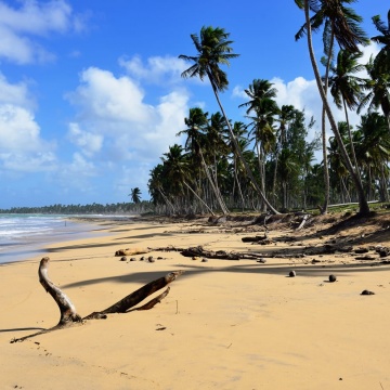 Jazda konna po dzikiej plaży