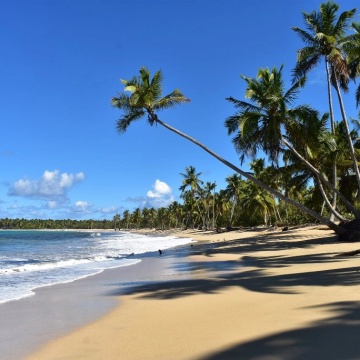 Jazda konna po dzikiej plaży