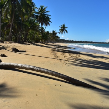 Jazda konna po dzikiej plaży