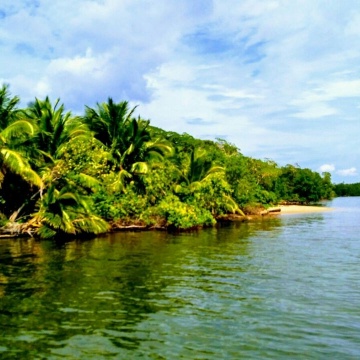 Samana Light